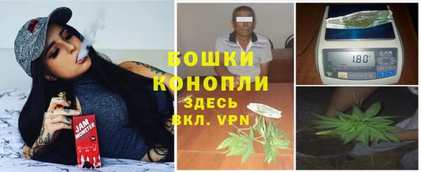 ПСИЛОЦИБИНОВЫЕ ГРИБЫ Инта