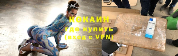 ПСИЛОЦИБИНОВЫЕ ГРИБЫ Инта