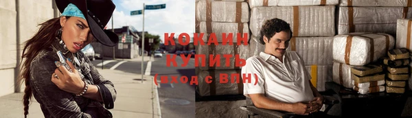 ПСИЛОЦИБИНОВЫЕ ГРИБЫ Инта