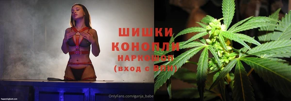 ПСИЛОЦИБИНОВЫЕ ГРИБЫ Инта