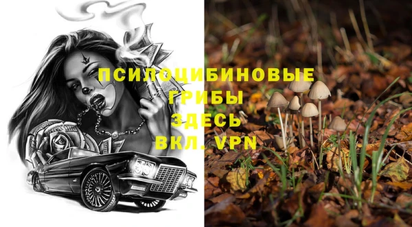 ПСИЛОЦИБИНОВЫЕ ГРИБЫ Инта