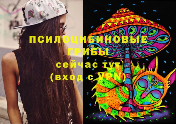 ПСИЛОЦИБИНОВЫЕ ГРИБЫ Инта