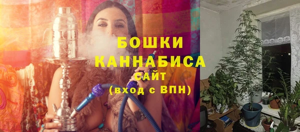 ПСИЛОЦИБИНОВЫЕ ГРИБЫ Инта