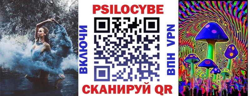 Купить закладки  Ирбит  Псилоцибиновые грибы MAGIC MUSHROOMS 